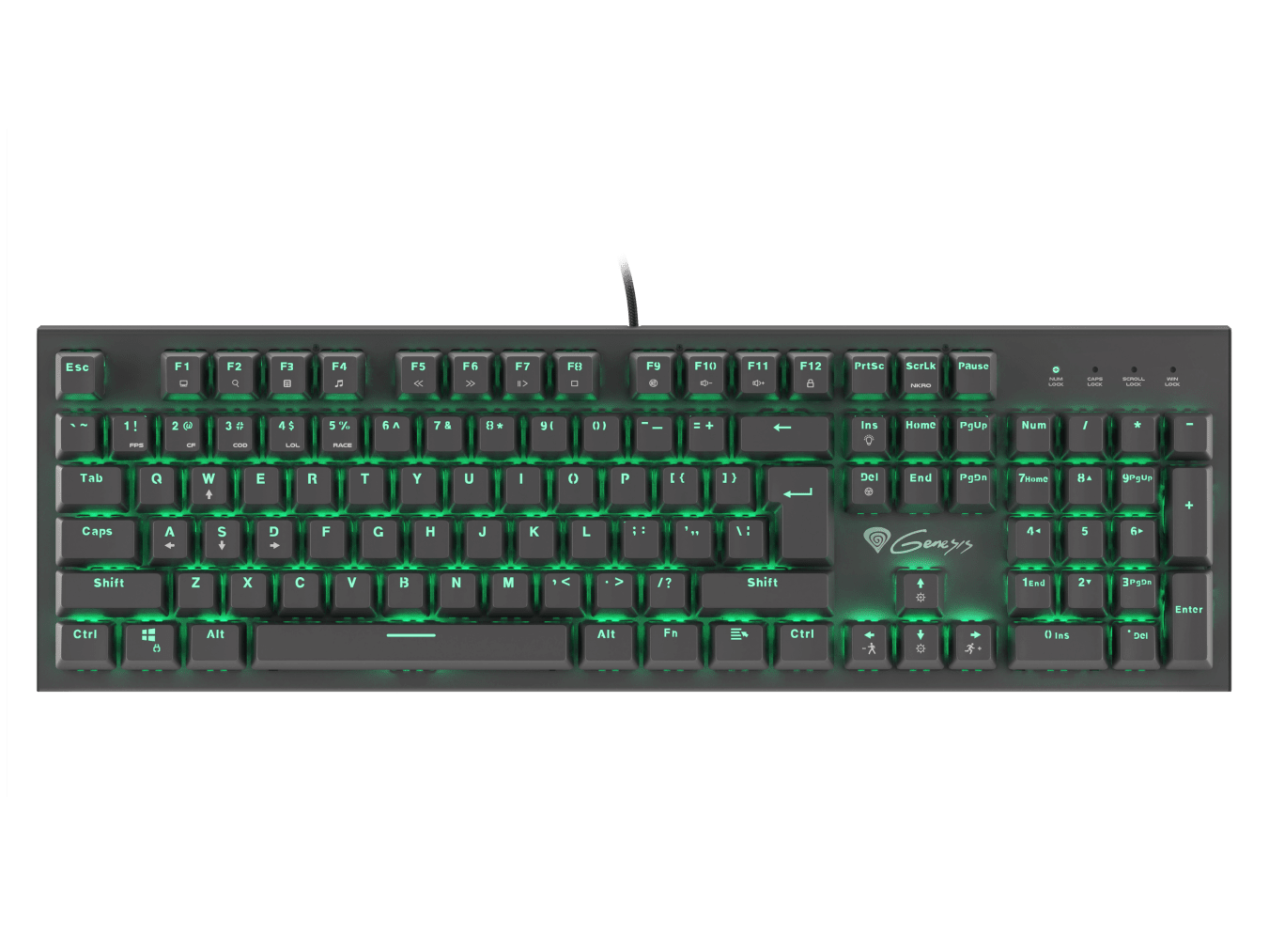 Genesis Thor 300