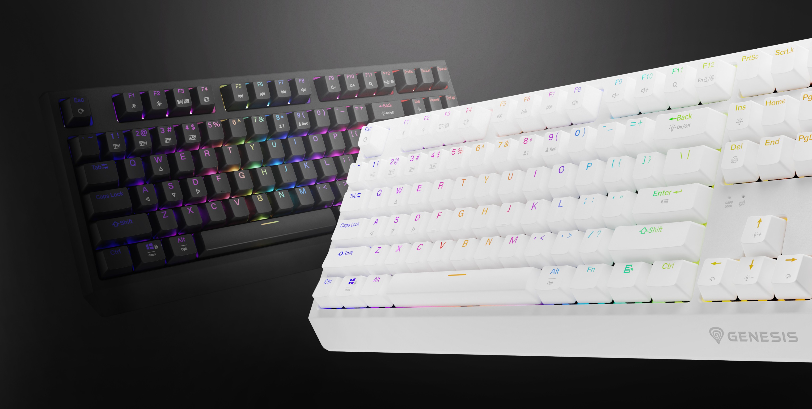 Představeny dvě bezdrátové mechanické klávesnice Genesis Thor 230 TKL, jedna černá a jedna bílá, s efekty podsvícení RGB